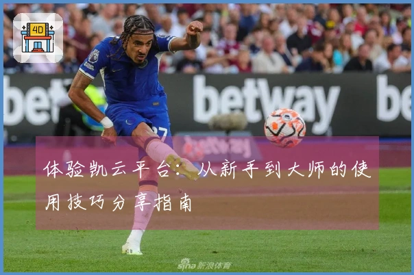体验凯云平台：从新手到大师的使用技巧分享指南