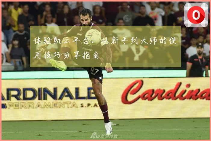 体验凯云平台：从新手到大师的使用技巧分享指南