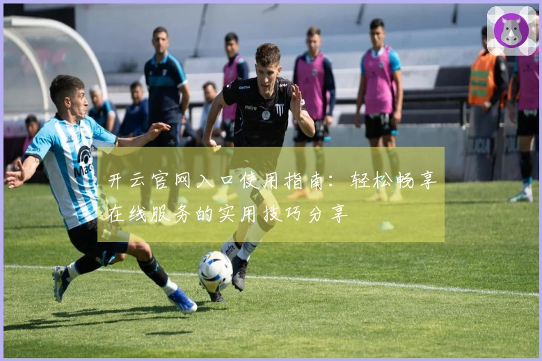 开云官网入口使用指南：轻松畅享在线服务的实用技巧分享